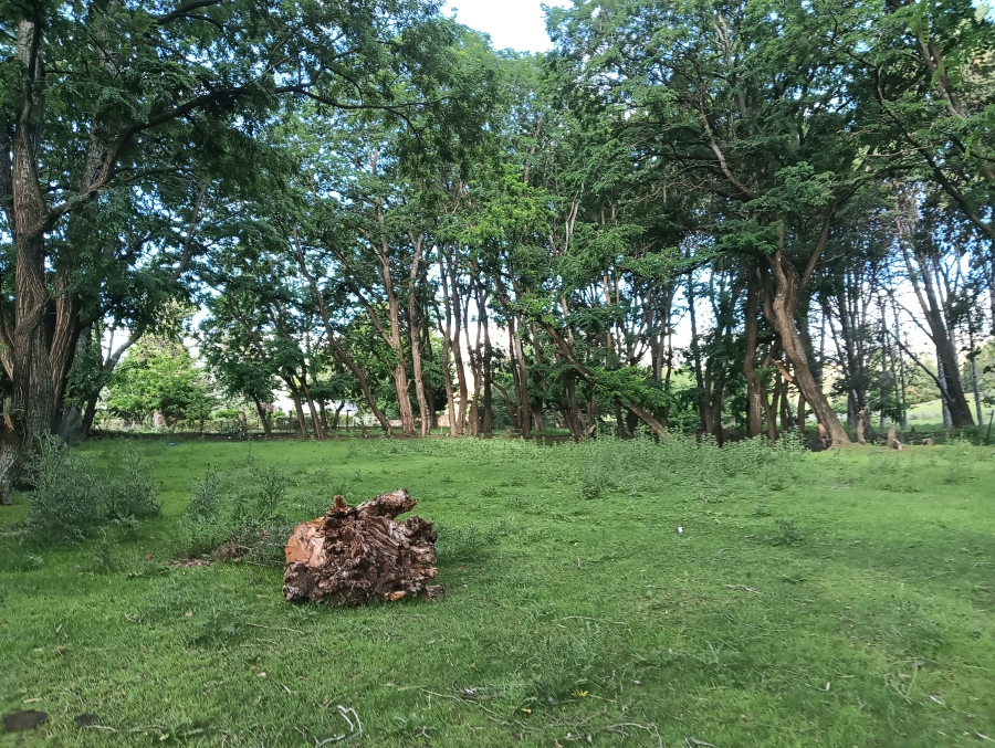 0 Bedroom Property for Sale in Rhodes Eastern Cape